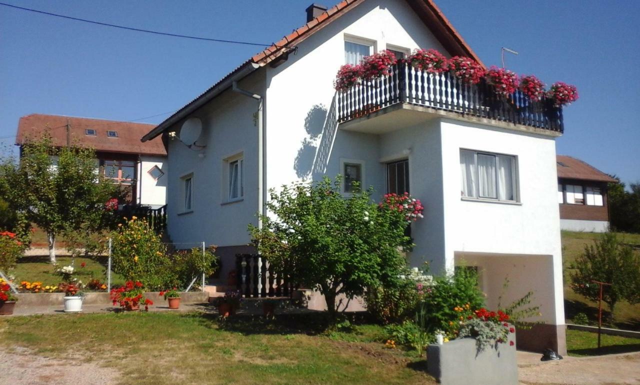 Apartment Dolores Смолянац Экстерьер фото